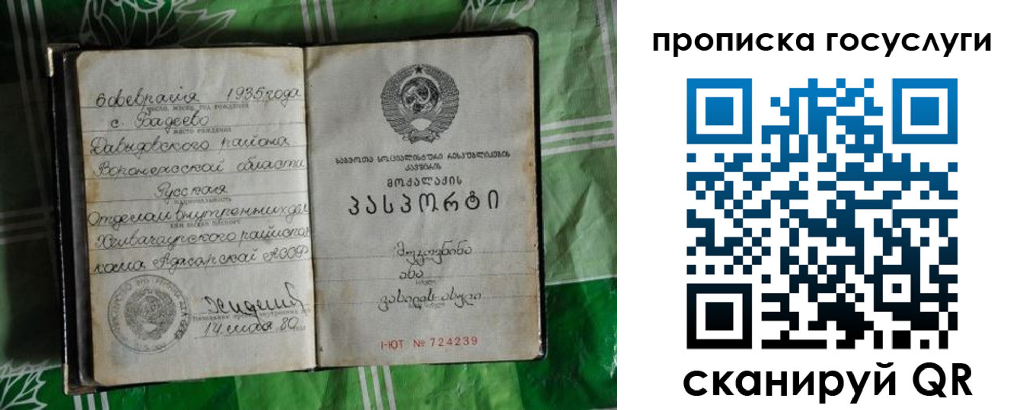 прописка паспорт в Дорогобуже